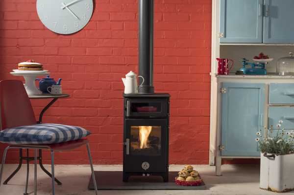 Hungry Penguin (c) Dyfi Fire Hungry Penguin (c) Dyfi Fire