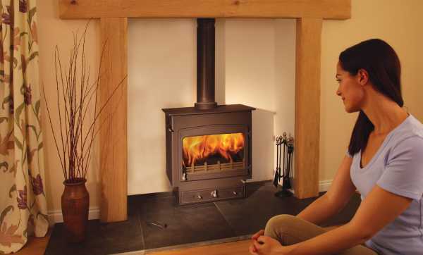 Woodwarm Fireview (c) Dyfi Fire Woodwarm Fireview (c) Dyfi Fire
